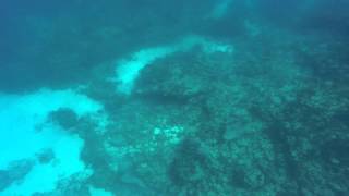 GOPR0049