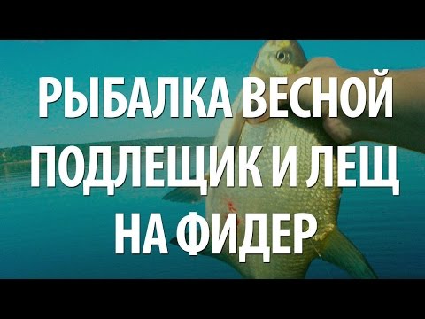 ловля на фидер леща ранней весной на фидер