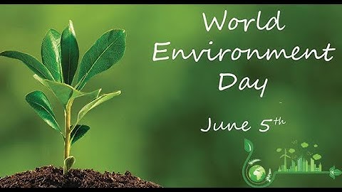 18. The Environment and Us /  पर्यावरण आणि आपण  #std 5 #EVS #part 1 #Intro #video-lecture