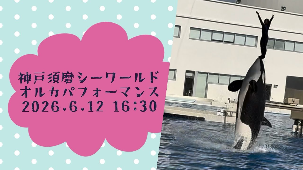 Kobe Suma Sea World Orca Performance 6/12/2026 16:30 - YouTube