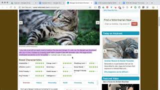 Google Docs: Explore Tool Net Worth