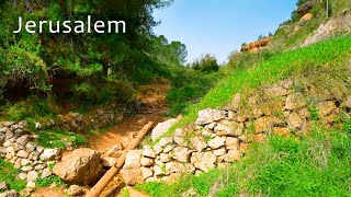 RELAXING MUSIC for Body and Soul. Full Immersion in Relaxation. Walk in The Hills of JERUSALEM