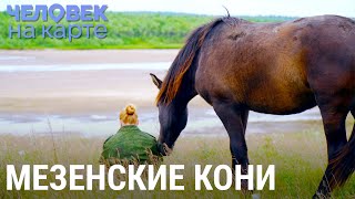 Елена и "ковчег" с лошадьми | ЧЕЛОВЕК НА КАРТЕ