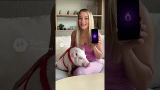 Tor Browser Explained — Maximum Privacy in 10 Sec! #CyberSecurity #Shorts