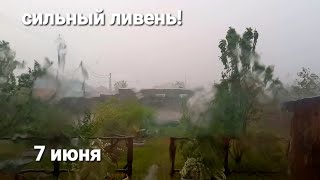 7 июня 2024г. Очень сильный⛈️⚡️ ливень! Первый такой в этом году!