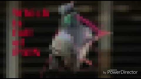 Save Birds Awareness video clip