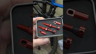 Tubeless Valve Stems - What could be so special about them? @rgmtb