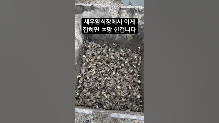 새우양식장에서 이게 잡히면 ㅈ망 한겁니다..#shorts