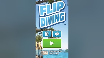 Flip Diving Hack - Free Unlimited Tickets [iOS] [Jailbreak Required]