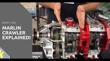 ORDIP Vids: Marlin Crawler Explained