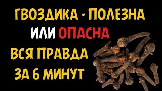 Гвоздика - ПОЛЬЗА и ВРЕД. Кому КАТЕГОРИЧЕСКИ НЕЛЬЗЯ принимать?