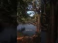 🌊 #bollywood #viral #music #viral #dam#vazha#riverbank