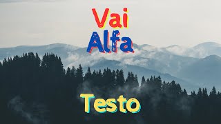 Alfa - Vai - Testo