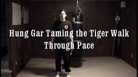 Hung Gar Taming the Tiger