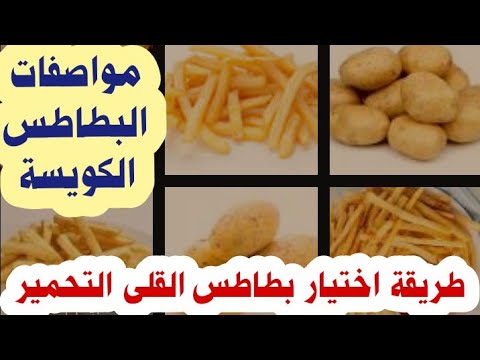 كيف تختارين بطاطس القلى التحمير طريقة اختيار بطاطس القلى الفرق بين بطاطس القلي والطبيخ