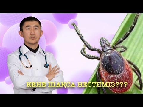 Бейне: Қол мен аяқтың қышуын түнде кетірудің 3 әдісі