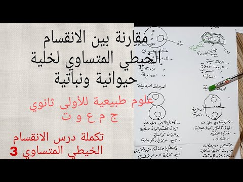 مقارنة بين الانقسام الخيطي المتساوي لخلية حيوانية وخلية نباتية اوجه الاختلاف والتشابه