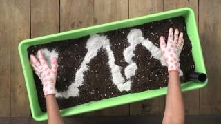 Planting a Single Row of Vegetables in an EarthBox®