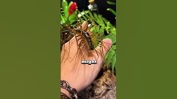 If you ever see this, don