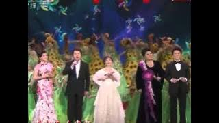 2011 Chinese New Year Gala【Year of Rabbit】歌曲 《难忘今宵》 李谷一丨CCTV