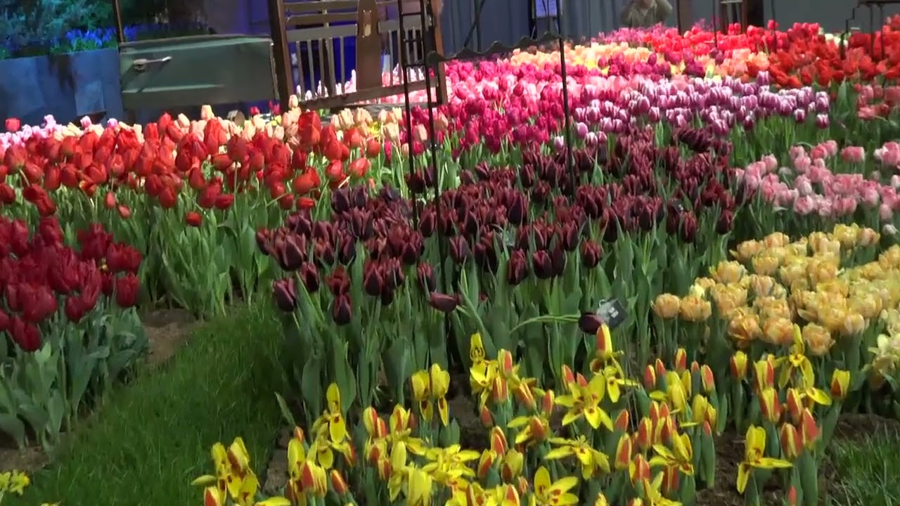 Philadelphia Flower Show 2026 - 