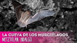 La Cueva de los Murciélagos en Metztitlán, Hidalgo