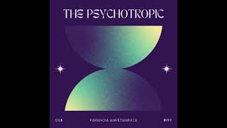 The Psychotropic  Paranoia Anfetamínica 1999 (Mastering 2026 en The Psychotropic  Bandcamp)