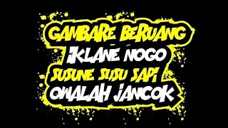 story wa susu beruang Quotes