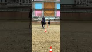 Тренировка. Видеоролик не мой.Источник Телеграмм #лошадки #horse #equestrian #конныйспорт