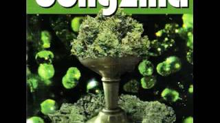 Watch Bongzilla Pow video