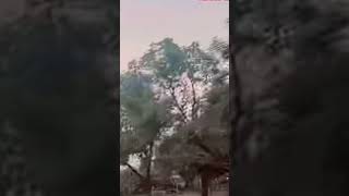 sachhai der se samjhito sab khatam.