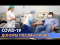 Плазма крови для больных COVID-19 в Беларуси. Кто может стать донором?