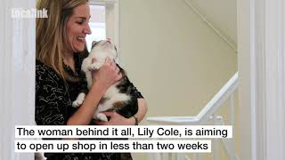 York's first cat café!