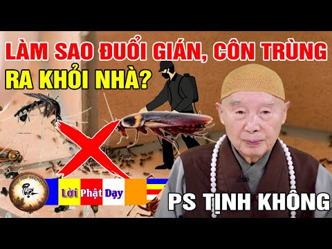 Video: Làm Thế Nào để Cứu Linh Hồn Của Bạn