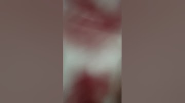 قراءة من صلاة التراويح بمسجد الرحمة بمصر يوم الثلاثاء (١٨) رمضان (١٤٤٤٦) هجري،القارئ همام عادل شاهين