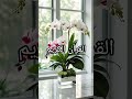 Quran Recitation ❣️#love #quran #quranrecitation #quranforeever #motivation #shorts