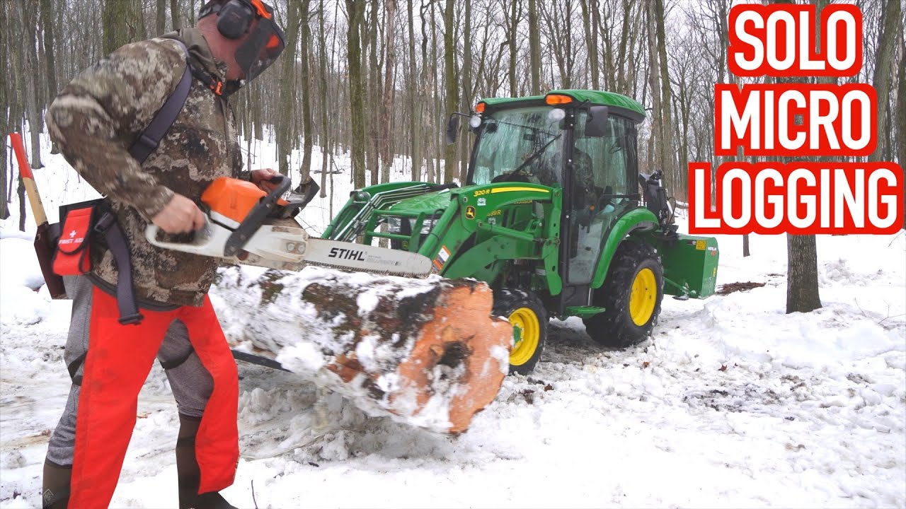 Felling a Big Tree in Winter from Start to Finish - YouTube