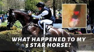 What happened to my 5 star horse?!