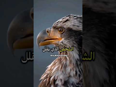 الشخص الذي يقلل من احترامك امام الآخرين