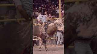 Banda la Jaripera - El Toro Mambo #jaripeo #montadas #toros #tradiciones #fiestacharra