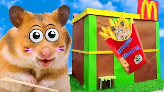  Hamster Obstacle Course McDonalds Maze Traps  in Hamsster Stories