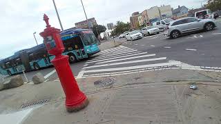 Bronx Zoo Bound: 2017 New Flyer XD60 Xcelsior Articulated (6124) Q44 SBS