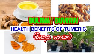 DULAW// DUWAW //HEALTH BENEFITS OF TURMERIC