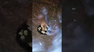 Homer Up First, But Will Marge Let Home Keep It?