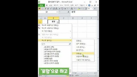 줄바꿈문자 필터, 포함, [Alt Enter] [Ctrl J]; 2025-3-12 6:10