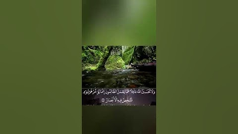 رَبِّ اجْعَلْنِي مُقِيمَ الصَّلَاةِ وَمِنْ ذُرِّيَّتِي سورة إبراهيم- آية (40)