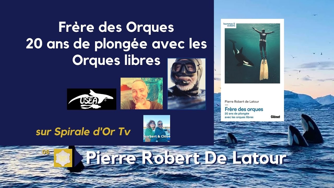 Frère des Orques, 20 ans de plongée avec les orques libres par Pierre Robert De Latour Apnéïste.
