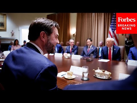 JD Vance Rips