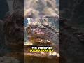 You stepped on it… 💀 #stonefish #oceanlife #dangerousanimals #animalfacts #viralshorts #fyp