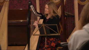 Streuobstwiese live from @ZingendeSnaarHarpen on Dusty Strings Ravenna 26 Harp #music #harp